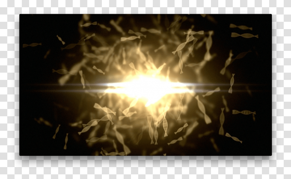 Sunlight, Flare, Bonfire, Flame Transparent Png