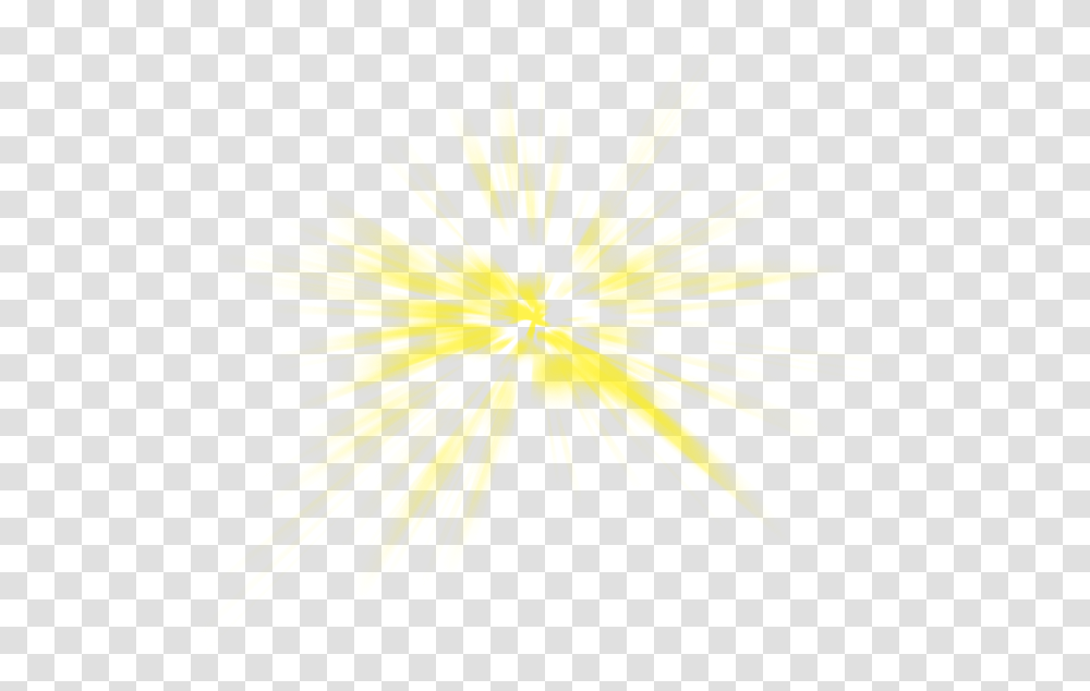 Sunlight, Flower, Plant, Blossom, Nature Transparent Png