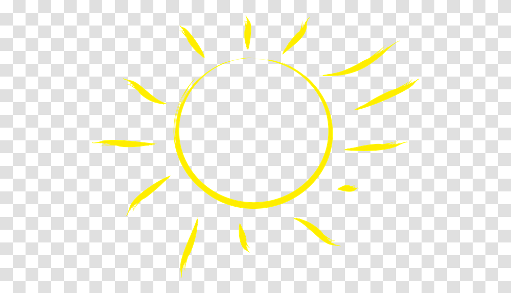 Sunlight Rays Circle, Nature, Outdoors, Plant, Flower Transparent Png