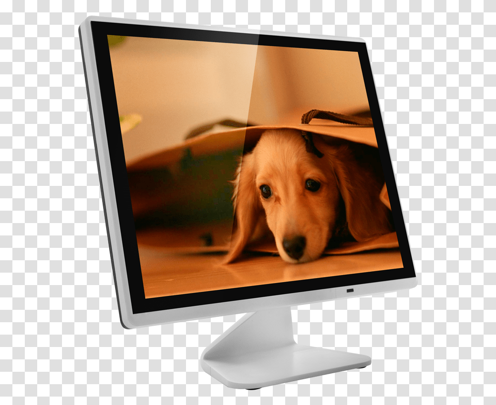 Sunlight Readable Hd 15 Inch Monitor Pc 12v Led Backlit Lcd Display, Screen, Electronics, LCD Screen, Dog Transparent Png