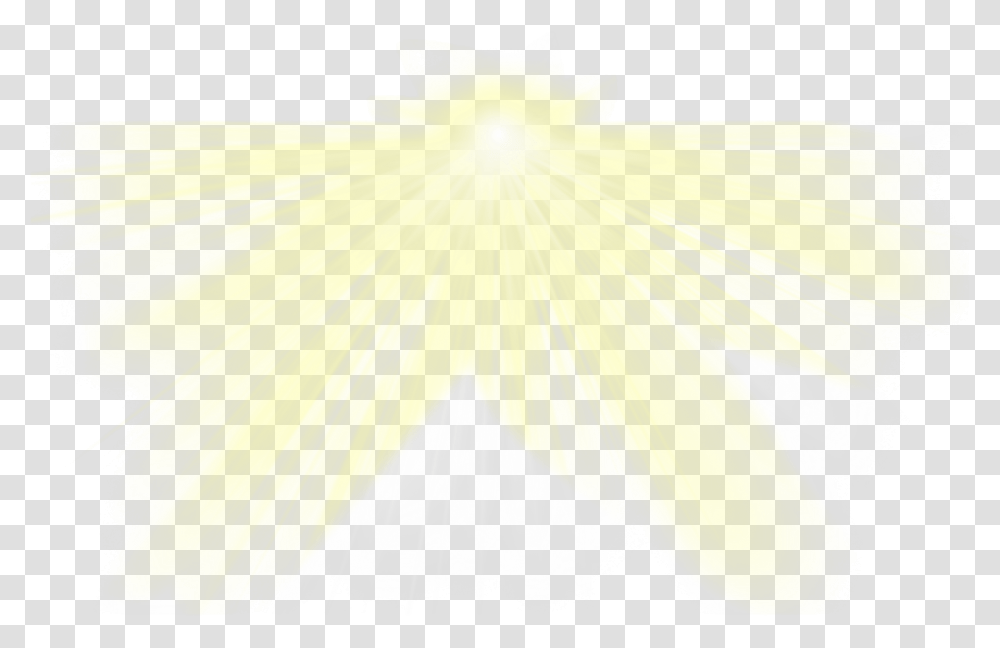 Sunrays Light Sunlight Beams Freetoedit Heavenly Light, Plant, Flower, Petal, Flare Transparent Png