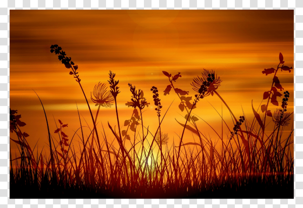 Sunrise Overlay Background Grass Sunset, Plant, Nature, Outdoors, Sky Transparent Png