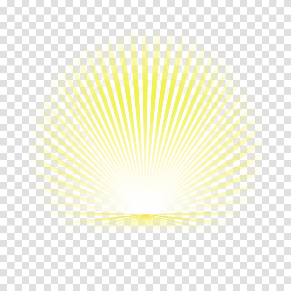 Sunrise Photo Circle, Lamp, Logo, Symbol, Plant Transparent Png