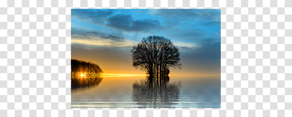 Sunset Nature, Outdoors, Tree, Plant Transparent Png