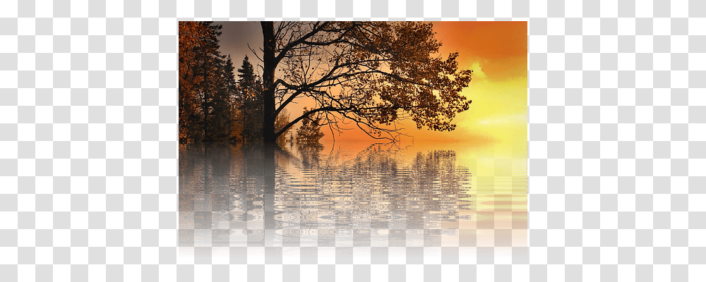 Sunset Nature, Flood, Tree, Plant Transparent Png