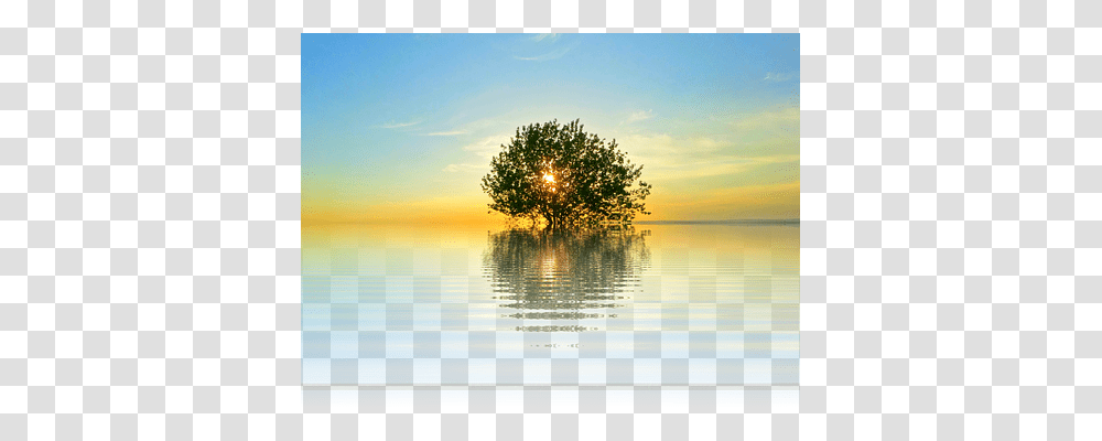 Sunset Nature, Outdoors, Tree, Plant Transparent Png