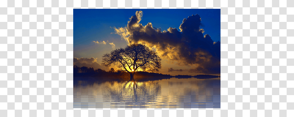 Sunset Nature, Tree, Plant, Outdoors Transparent Png