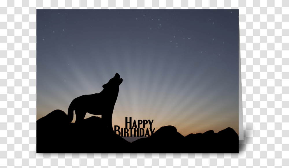 Sunset And Wolf Silhouette, Outdoors, Mammal, Animal, Nature Transparent Png