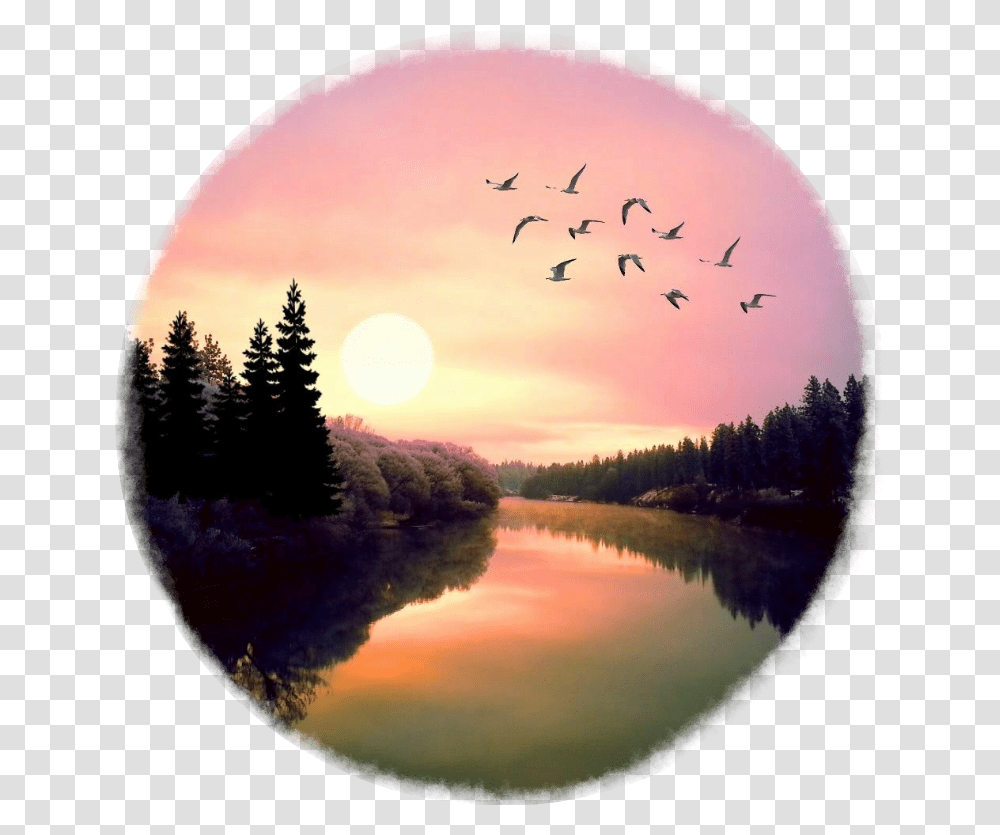 Sunset Clipart Reflection, Tree, Plant, Nature, Outdoors Transparent Png