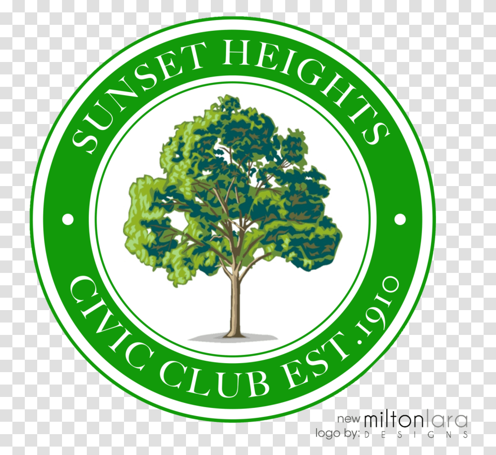 Sunset Heights Family Tree, Plant, Oak, Label, Text Transparent Png