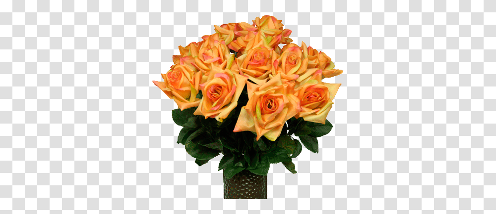 Sunset Orange Diamond Roses Md1552 Garden Roses, Plant, Flower Bouquet, Flower Arrangement, Blossom Transparent Png