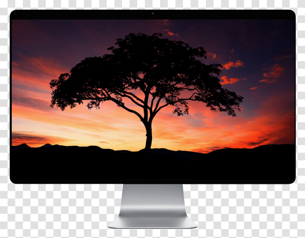 Sunset Sky Silhouette, Nature, Outdoors, Tree, Plant Transparent Png