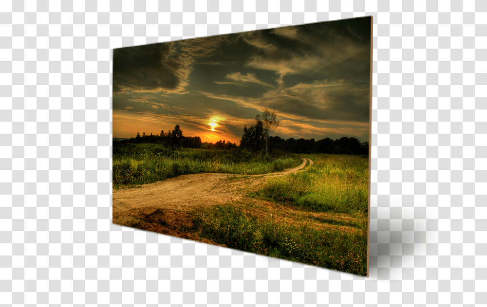 Sunsets Forest Evening Landscape Road Nature Tree Beautiful Country Sunset, Flare, Light, Outdoors, Sunlight Transparent Png