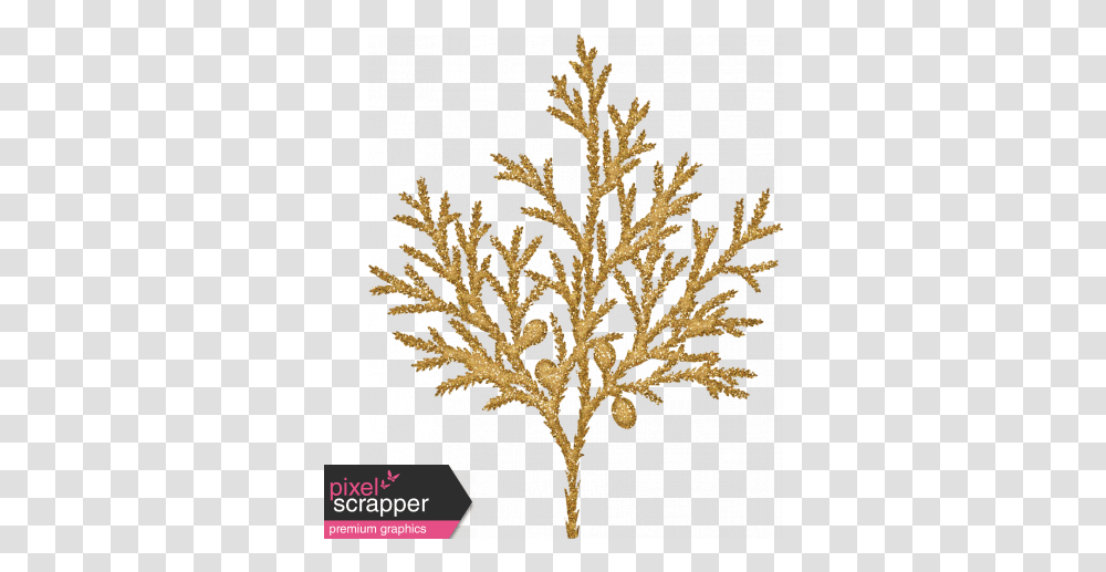 Sunshine And Snow Golden Juniper Fir Branch Cypress Family Illustration, Rug, Ornament, Snowflake, Accessories Transparent Png