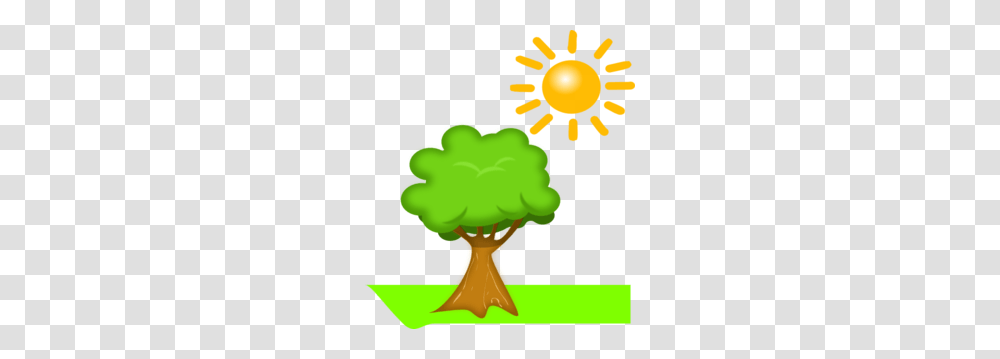 Sunshine Clipart Tree, Plant, Vegetable, Food, Anther Transparent Png