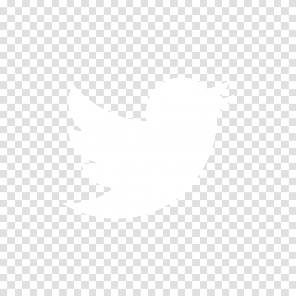 Sunshine Conversations Docs White Twitter Logo, Silhouette, Bird, Animal, Stencil Transparent Png