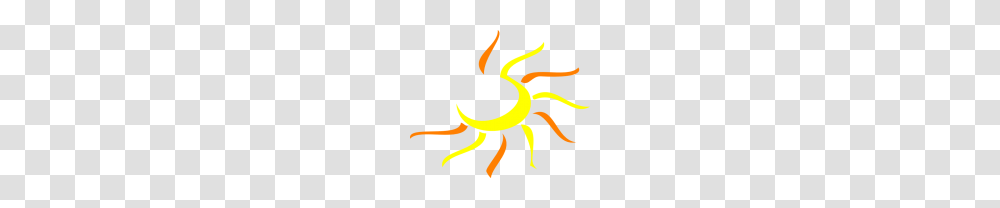 Sunshine Free Images, Paper, Spider Transparent Png