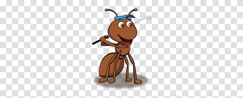 Super Fund, Insect, Invertebrate, Animal, Ant Transparent Png