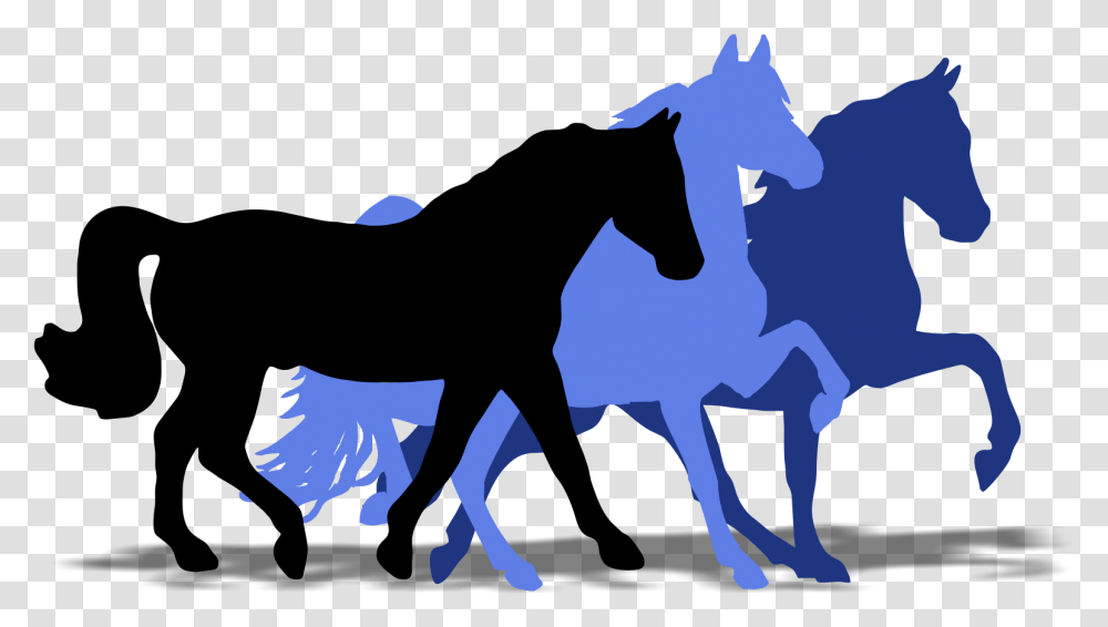 Super Horse Usa Horse, Silhouette, Nature, Outdoors, Mammal Transparent Png