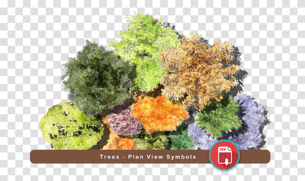 Super Landscaping Plan Software Plan Trees, Bush, Vegetation, Plant, Sea Transparent Png