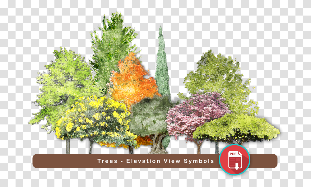 Super Landscaping Plan Software Red Pine, Plant, Flower, Blossom, Bush Transparent Png