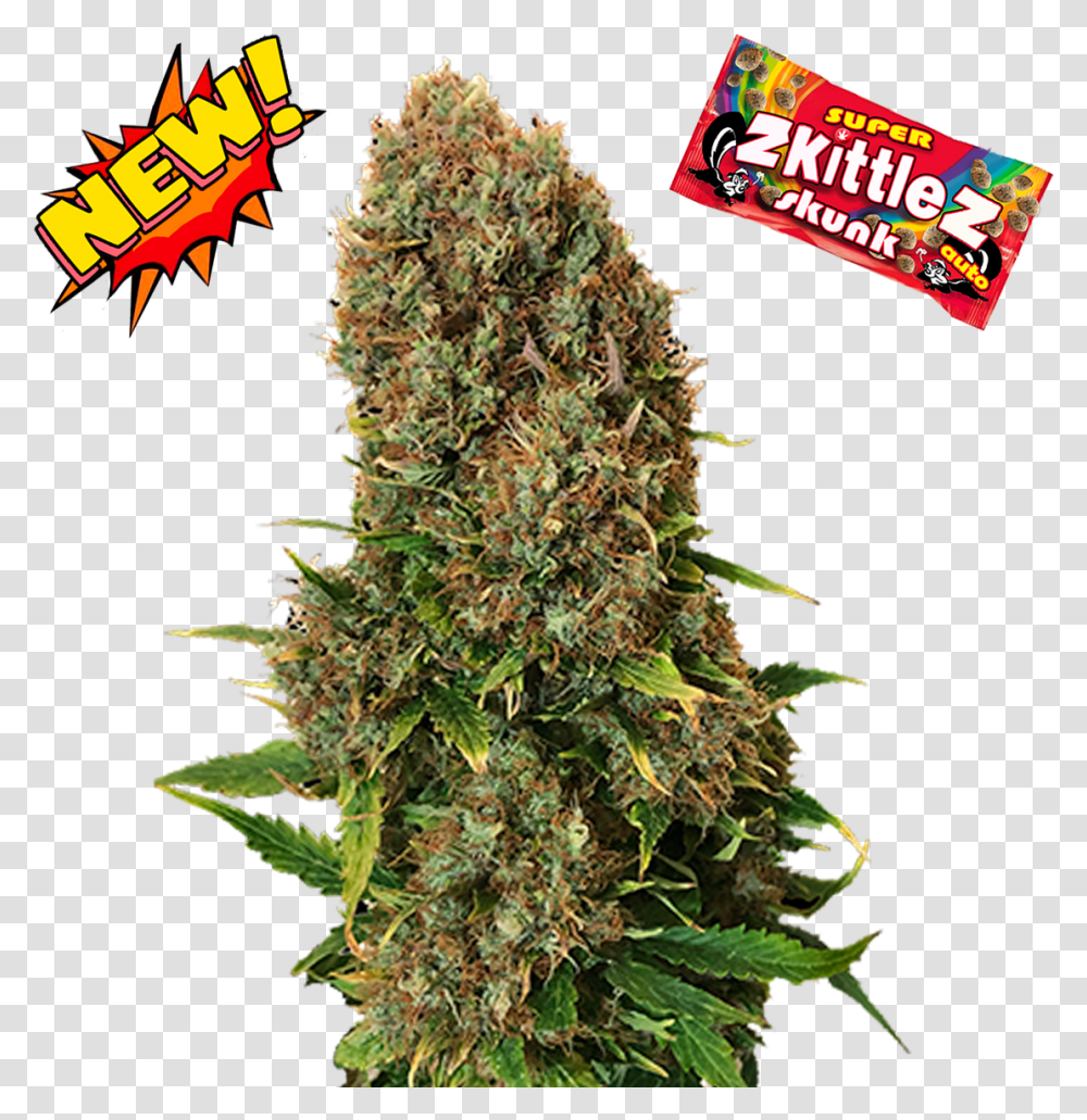 Super Zkittlez Skunk Crop, Plant, Weed, Hemp, Vegetation Transparent Png