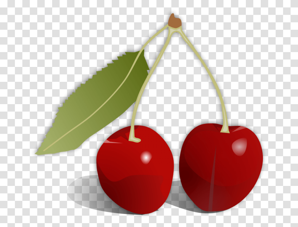 Superfoodfoodcherry Cherry Fruit, Plant, Lamp Transparent Png