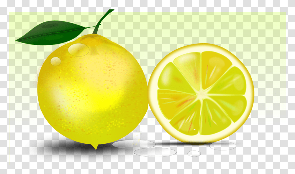 Superfoodlemon Limepersian Lime Limon Dibujo A Color, Plant, Citrus Fruit, Produce, Grapefruit Transparent Png