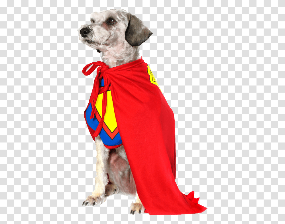 Superhero Cape Hd Super Hero Dog, Costume, Person, Fashion Transparent Png