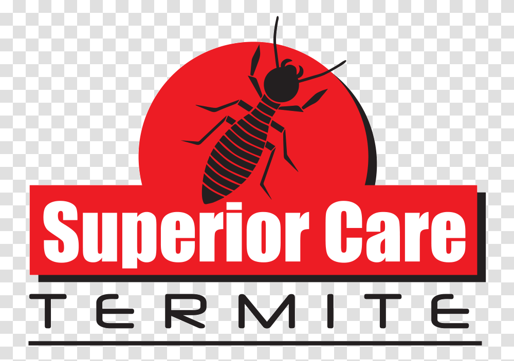 Superior Care Termite Cockroach, Insect, Invertebrate, Animal, Poster Transparent Png