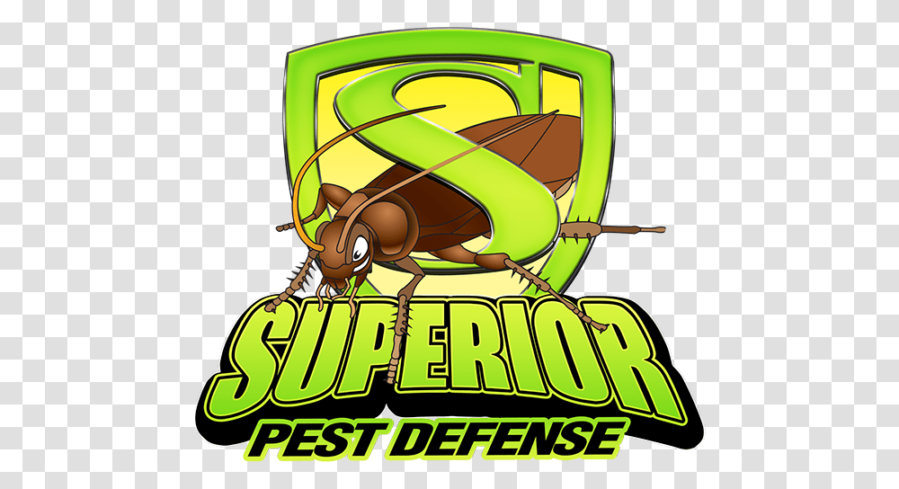 Superior Pest Defense Pest Animal Control Services Extermination, Wasp, Bee, Insect, Invertebrate Transparent Png