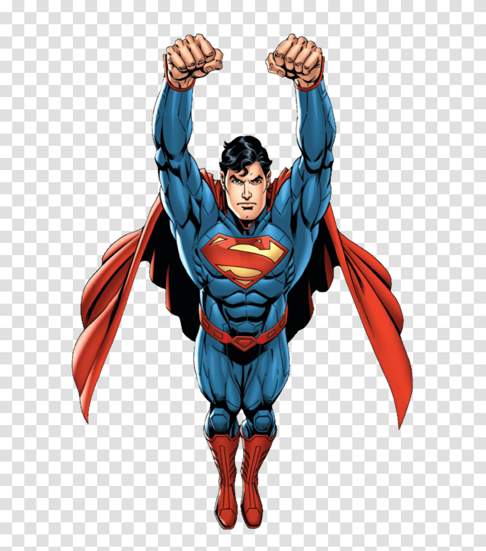 Superman Images, Wasp, Bee, Insect, Invertebrate Transparent Png