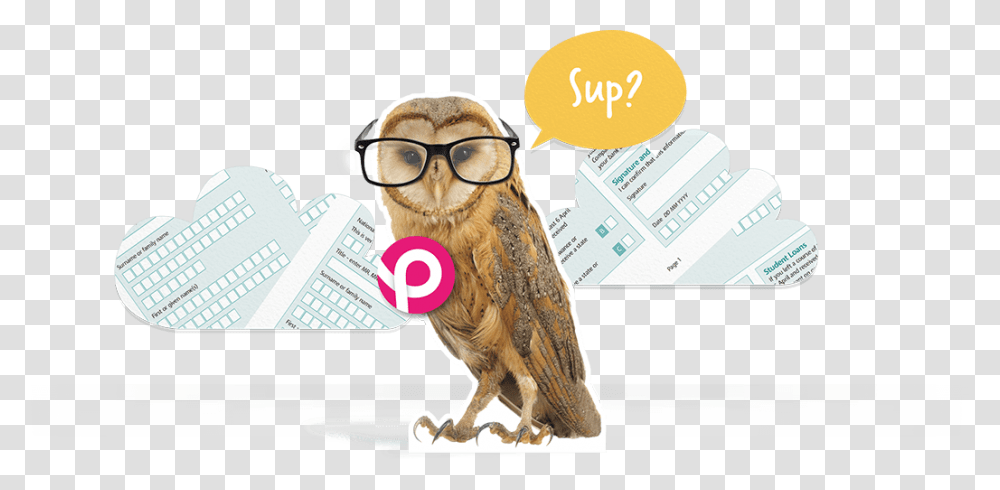 Support Bird Of Prey, Owl, Animal, Glasses Transparent Png