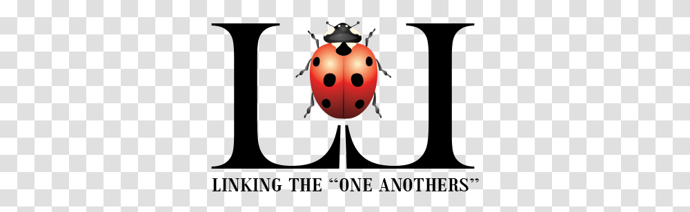 Support Links Of Love Ladybird Beetle, Insect, Invertebrate, Animal, Snowman Transparent Png