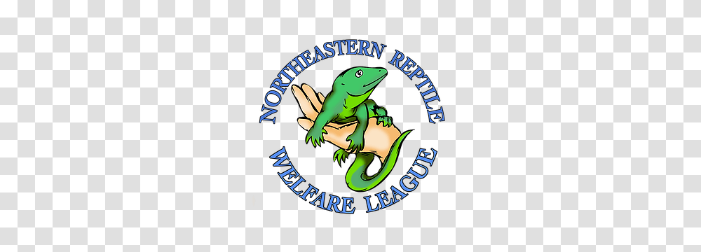 Supporters Clipart General Welfare, Lizard, Reptile, Animal, Iguana Transparent Png