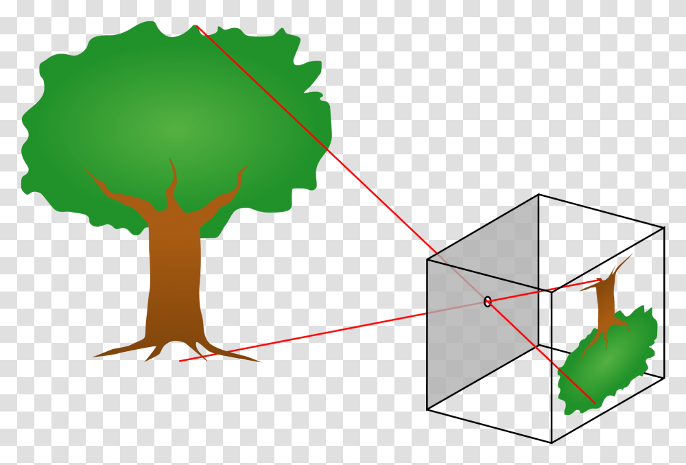 Supporting Image Does A Pinhole Camera Work, Nature, Outdoors, Plot, Diagram Transparent Png