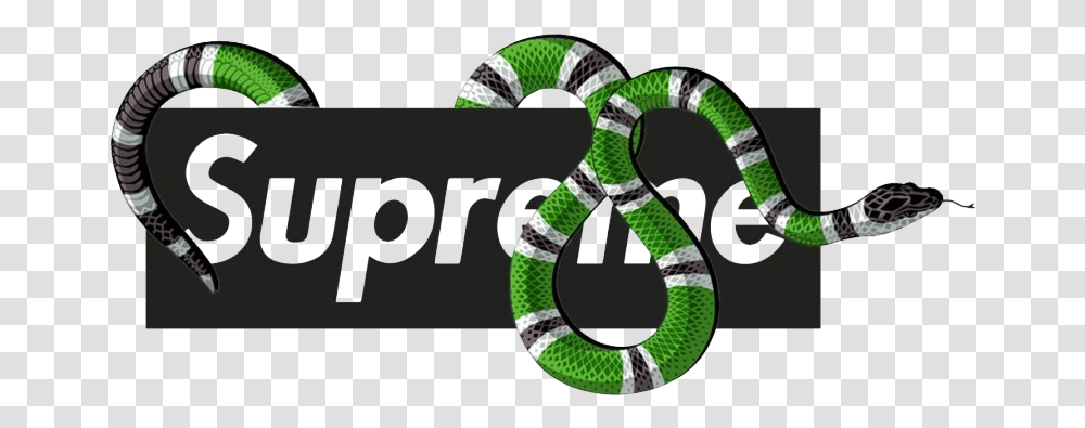 Supreme Photos Background Gucci Logo, Reptile, Animal, Snake, Sea Snake Transparent Png