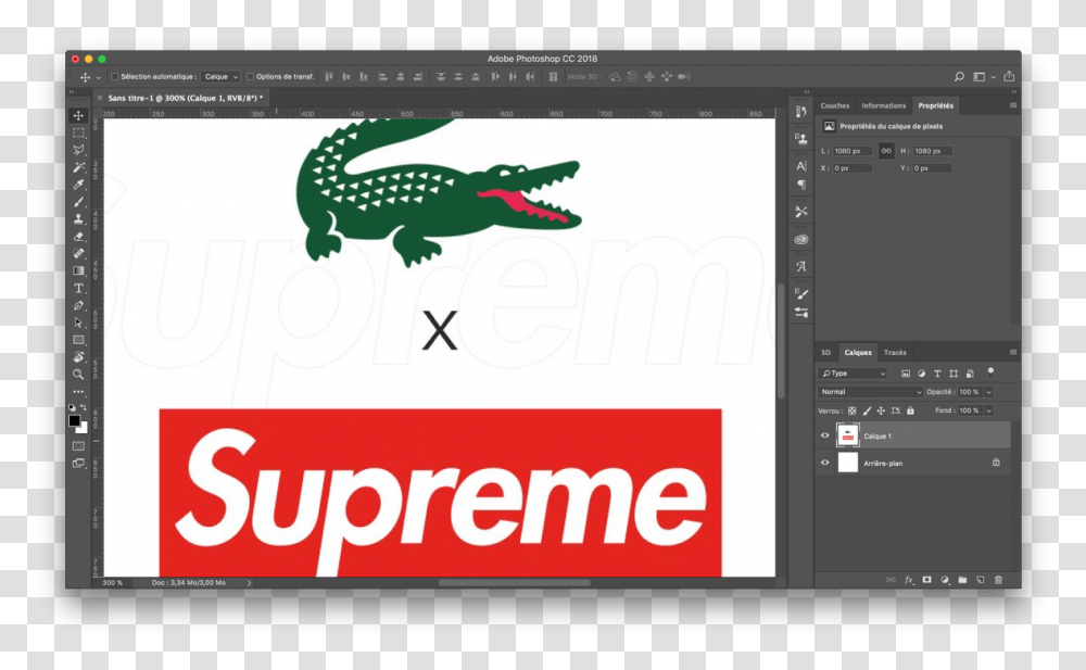 Supreme T Shirt Logo, Fish, Animal, Reptile Transparent Png