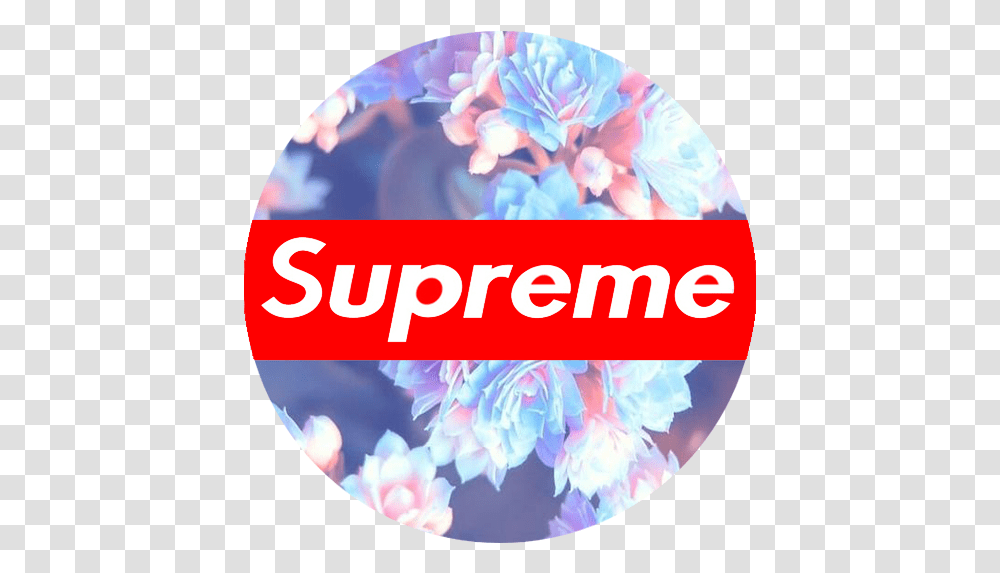 Supreme Wallpaper Swag Supreme Dragon Sticker, Plant, Flower, Purple, Text Transparent Png