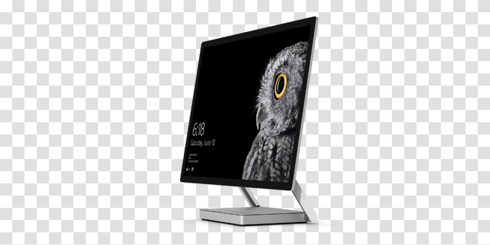 Surface Studio, Bird, Animal, Owl, Monitor Transparent Png