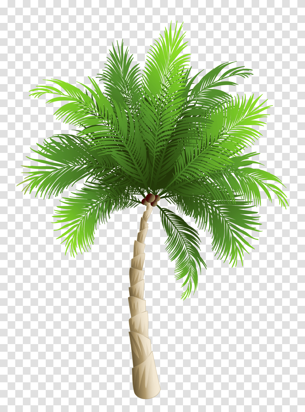 Surfing Clipart Palm Tree Palm Tree Beach Transparent Png