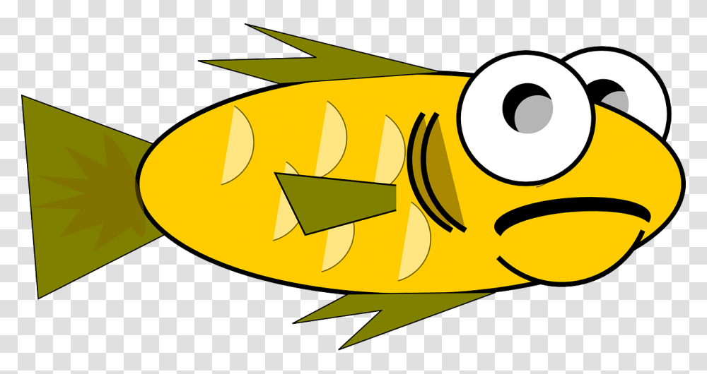 Surprised Clipart Fish Fish With Birthday Hat, Plant, Outdoors, Label Transparent Png