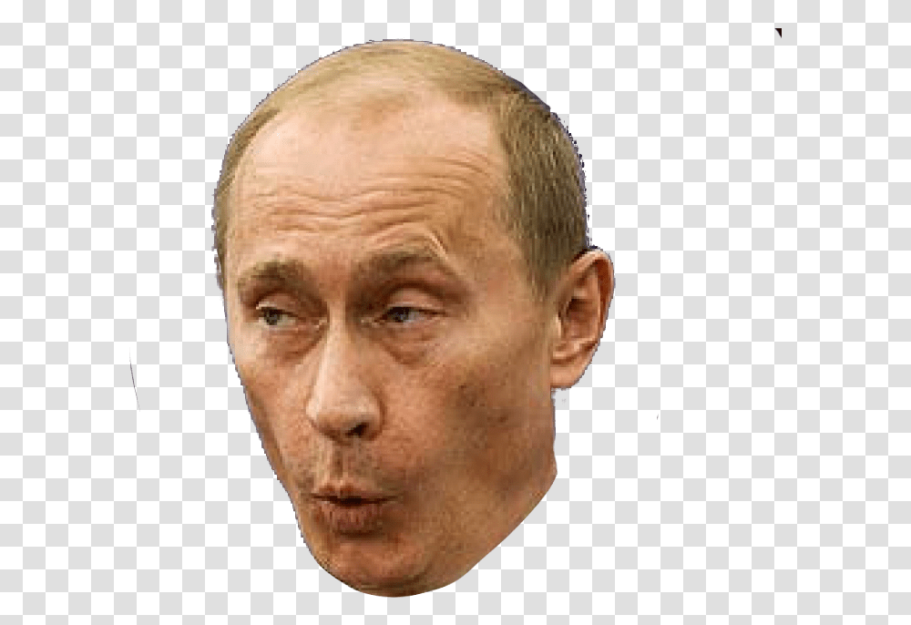 Surprised Putin Putin Putin Face Expression Vladimir Putin, Head, Person, Human, Portrait Transparent Png