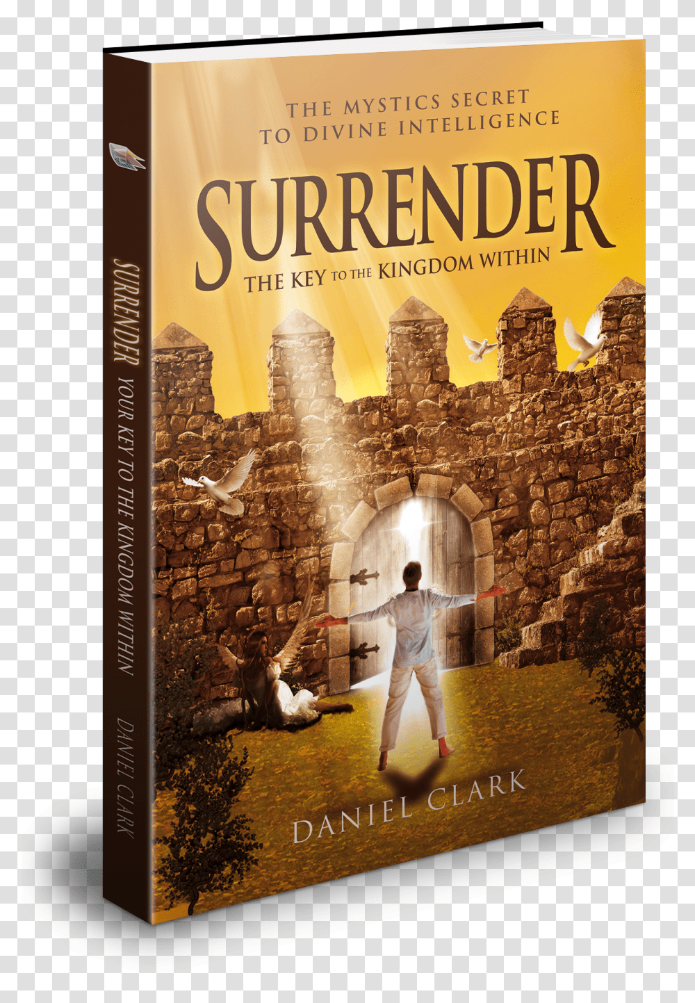 Surrender 3d Book1 Flyer, Person, Novel, Advertisement, Poster Transparent Png