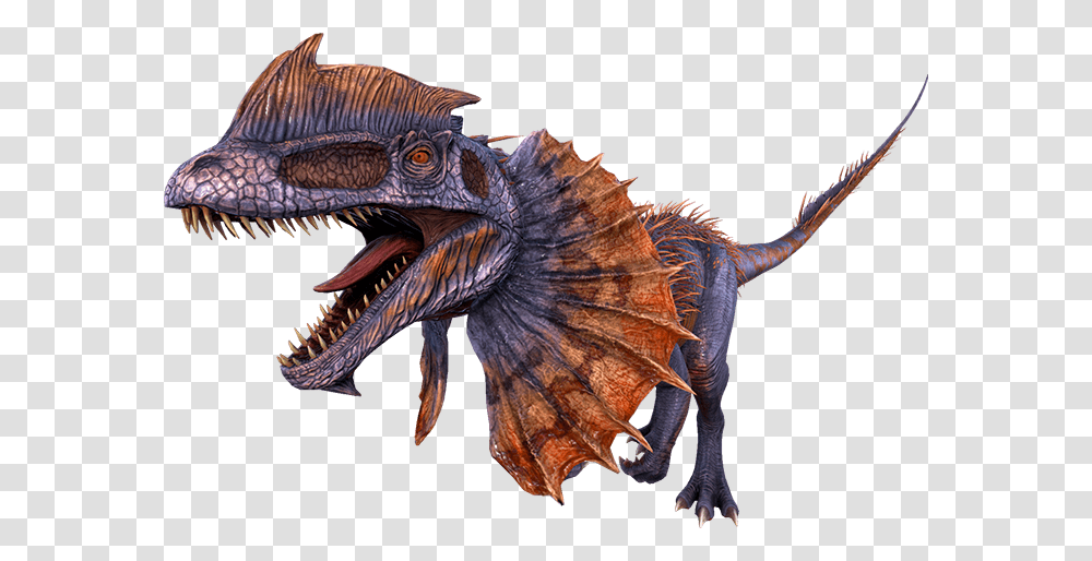 Survival Evolved Taming Calculator Dilo Ark, Dinosaur, Reptile, Animal, Dragon Transparent Png