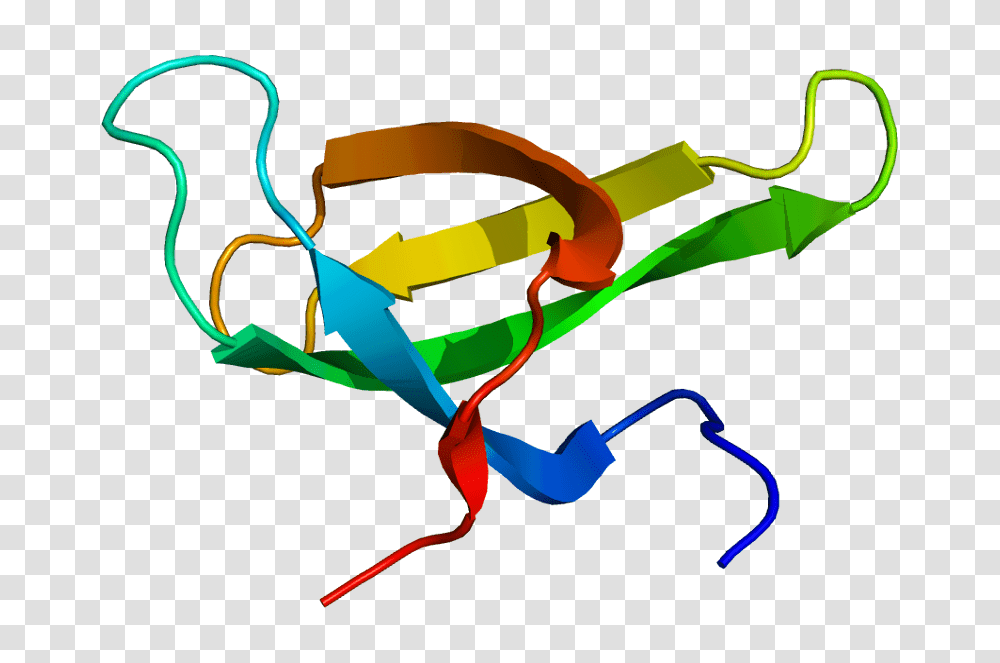 Survival Of Motor Neuron, Dynamite, Bow Transparent Png
