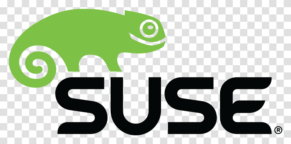 Suse Logo Logok Suse Linux Enterprise Server Hpe, Gecko, Lizard, Reptile, Animal Transparent Png