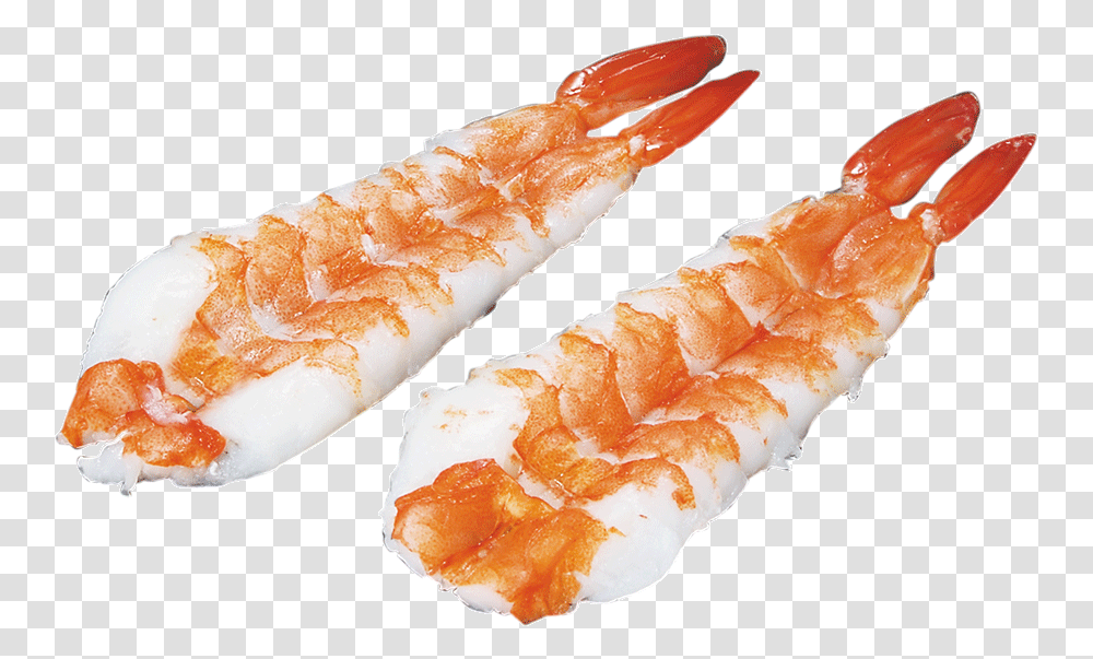 Sushi Ebi, Seafood, Shrimp, Sea Life, Animal Transparent Png