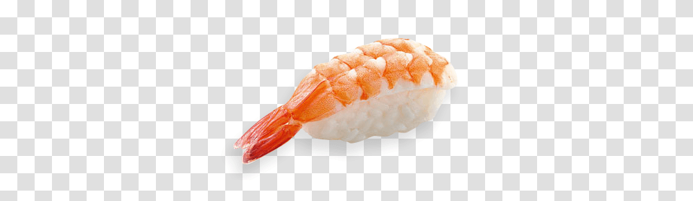 Sushi, Food, Seafood, Animal, Shrimp Transparent Png