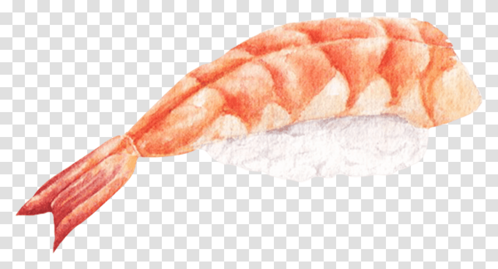 Sushi Japanese Food Watercolor By We Studio Soft, Animal, Sea Life, Fungus, Mouth Transparent Png